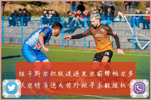 纽卡斯尔积极追逐里尔前锋帕尔多沃尔特马德或将外租寻求锻炼机会